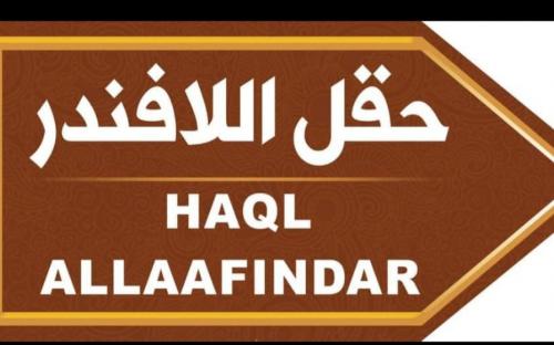 صورة 2