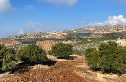 abdel_wahab_al-qabbat_-_reclamation