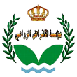 الرئيسية